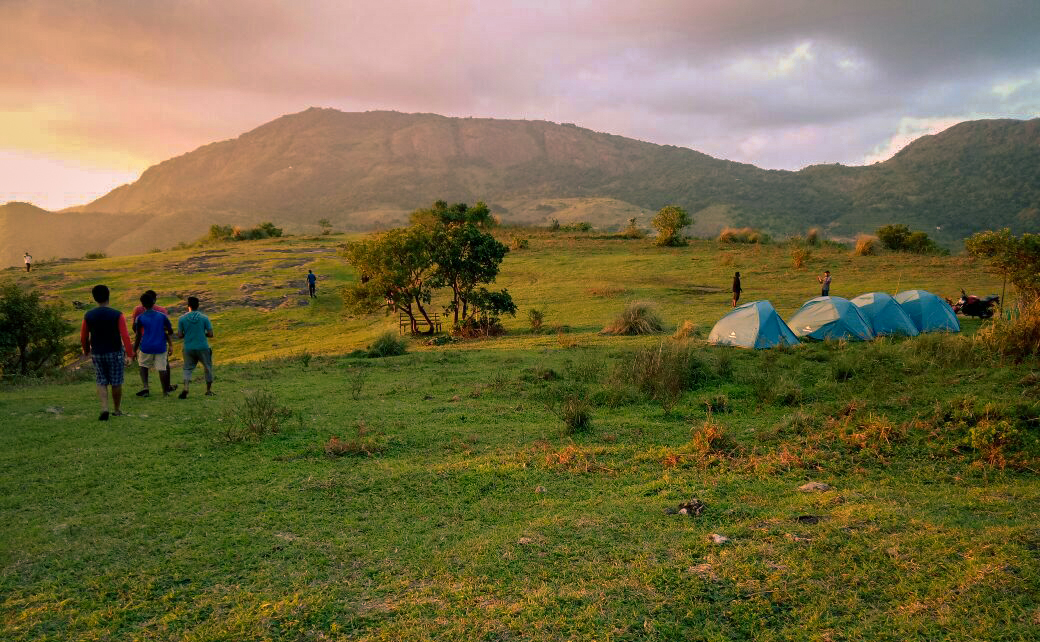 Explore the meadows. Thangalpara Top Camp